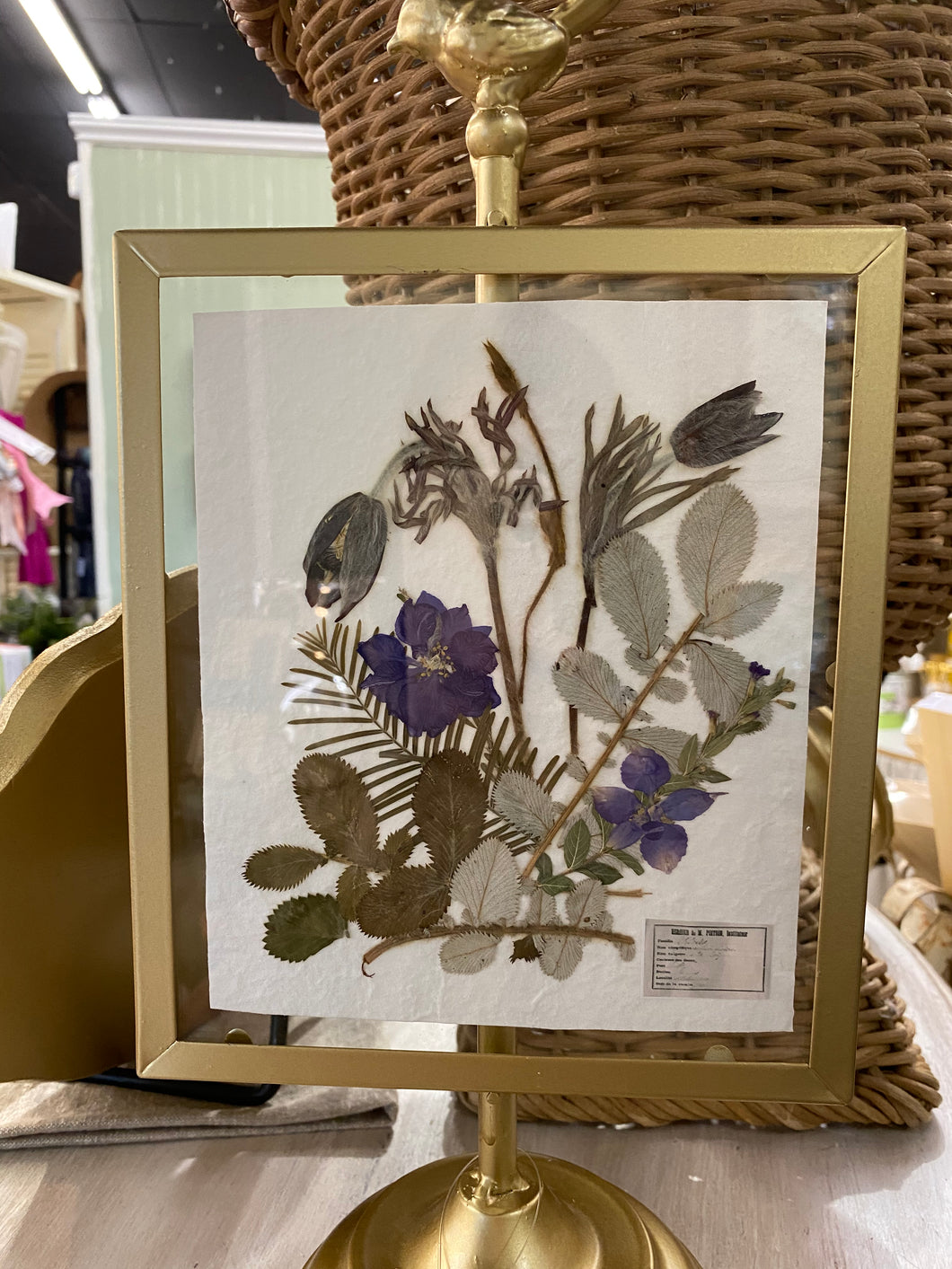 CTW PRESSED FLOWERS ART LARKSPUR