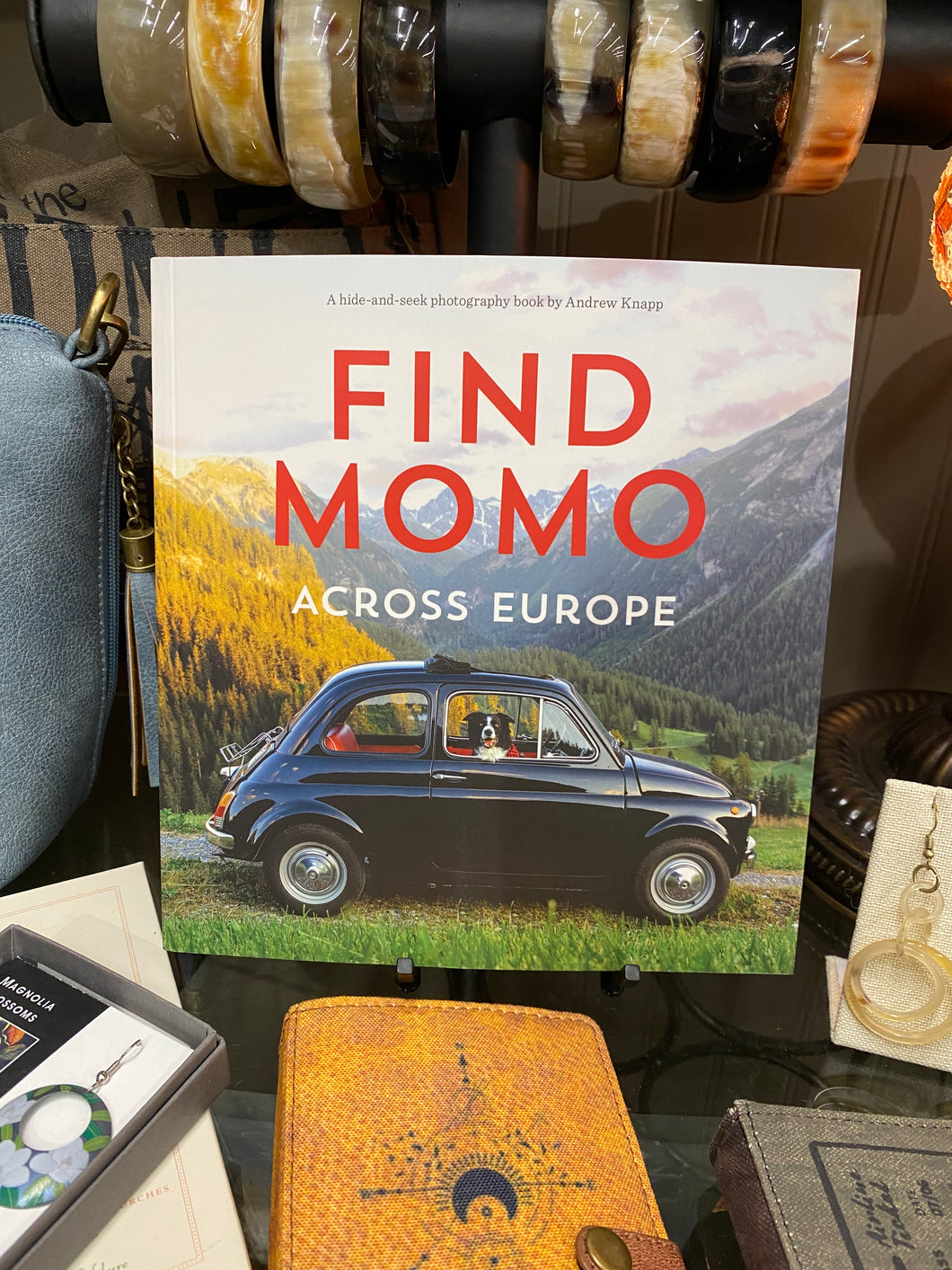 Find Momo Book